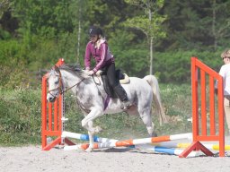 IMG_0543_web